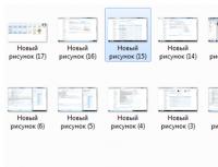 Как выделить одновременно все файлы в папке в разных операционных системах